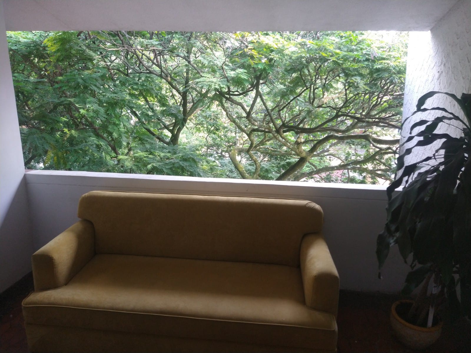 VENTA APARTAMENTO CAPRI 5385038 MCG