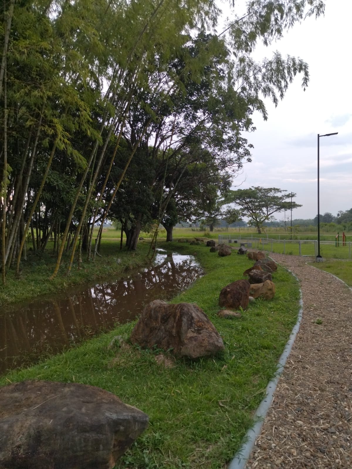 VENTA LOTE JAMUNDI 4667166 MCG