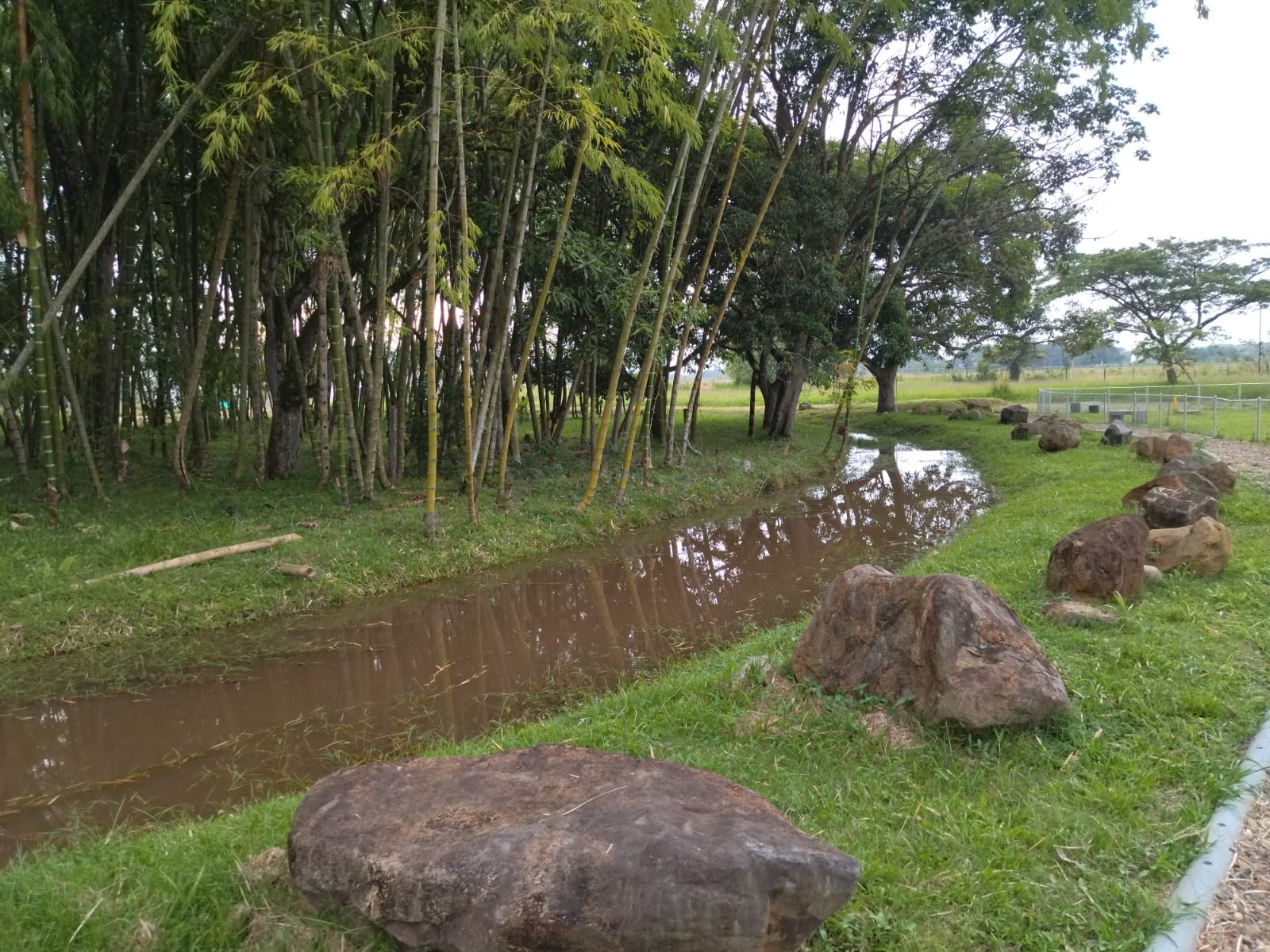 VENTA LOTE JAMUNDI 4667166 MCG