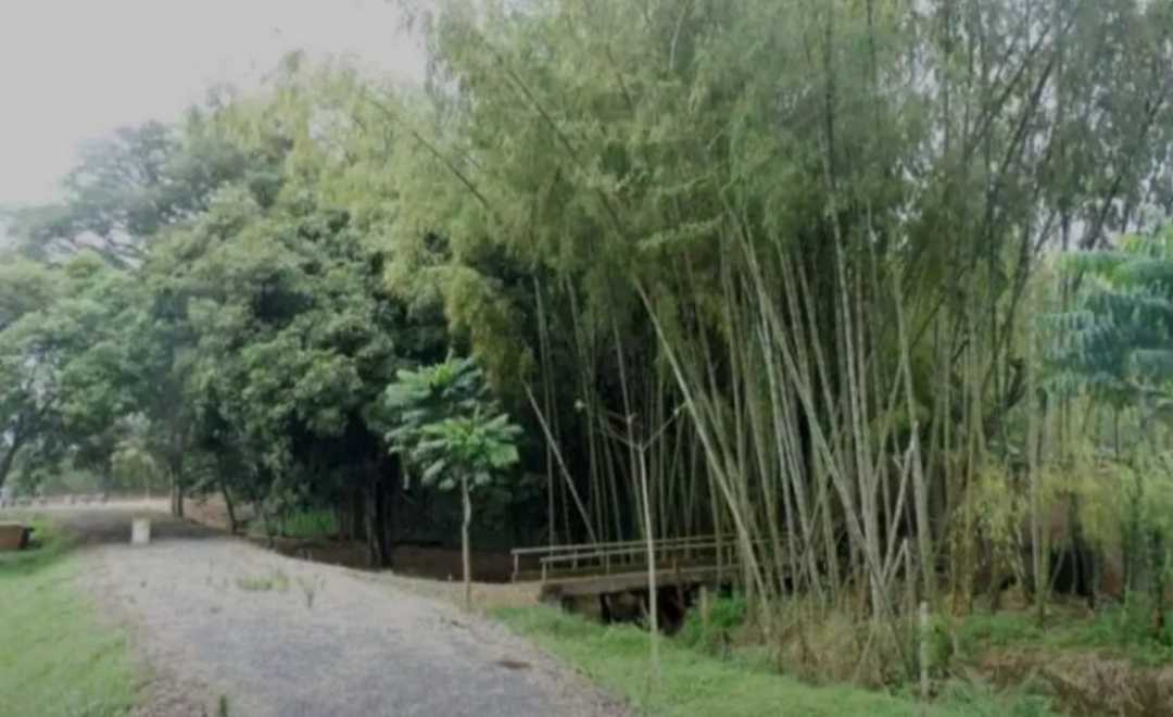 VENDO LOTE CONDOMINIO RINCON DE GUADUALES JAMUNDI W5437841(ISA-CDM)