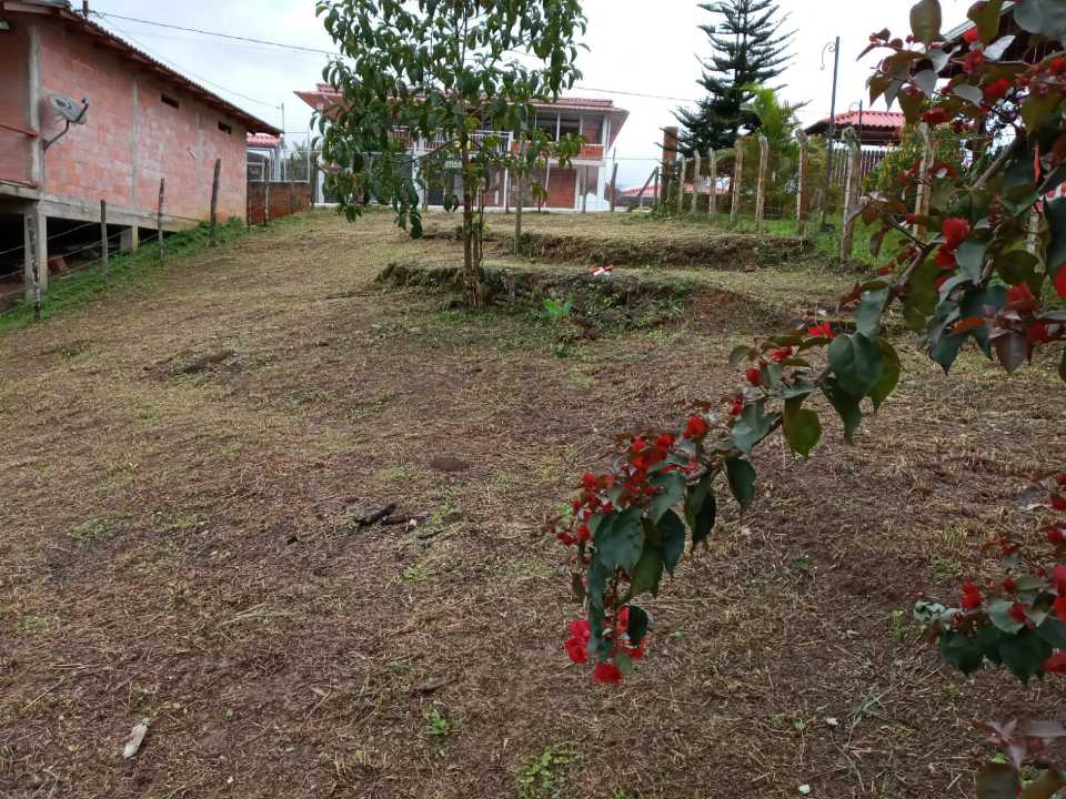 VENDO LOTE ENURBANIZACIÓN EN EL QUEREMAL W5066045(ISA-CDM)