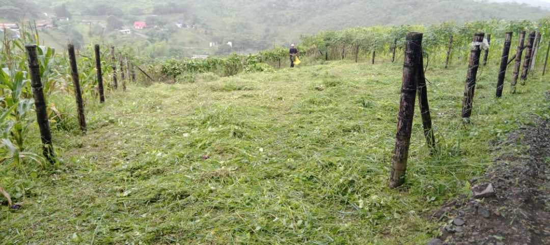 Vendo lote KM 30, vista panorámica de oportunidad (CL)5277849