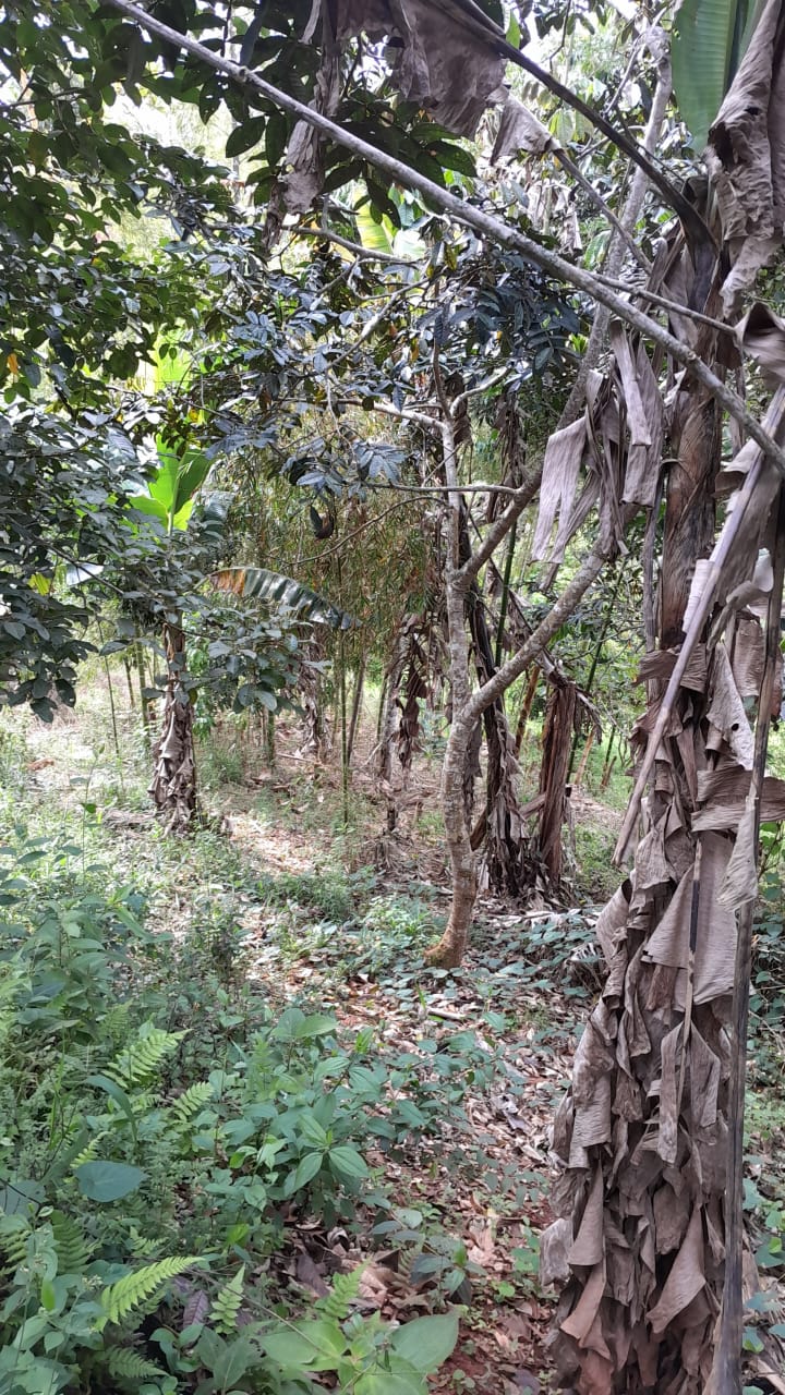 LOTE EN EL QUEREMAL EN VENTA W8240660JR