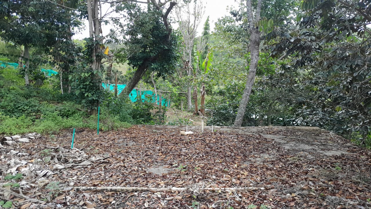 LOTE EN EL QUEREMAL EN VENTA W8240660JR