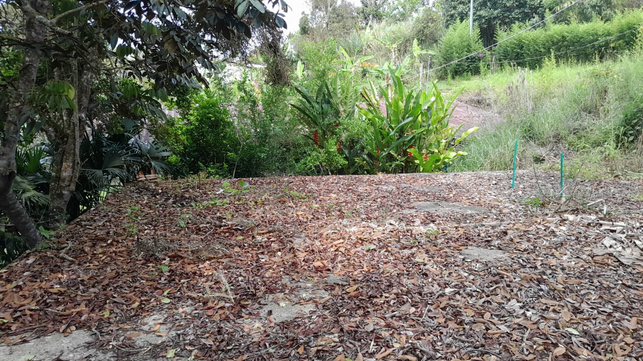 LOTE EN EL QUEREMAL EN VENTA W8240660JR