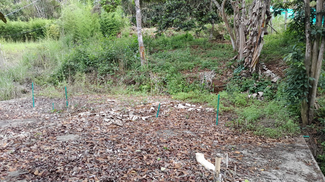 LOTE EN EL QUEREMAL EN VENTA W8240660JR